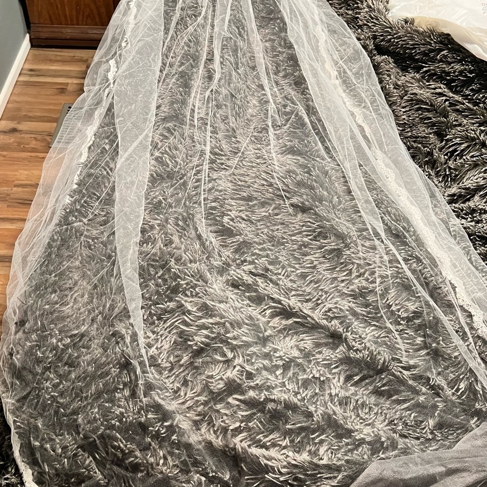 Cathedral length veil David’s bridal